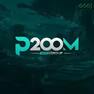 P200m 666j